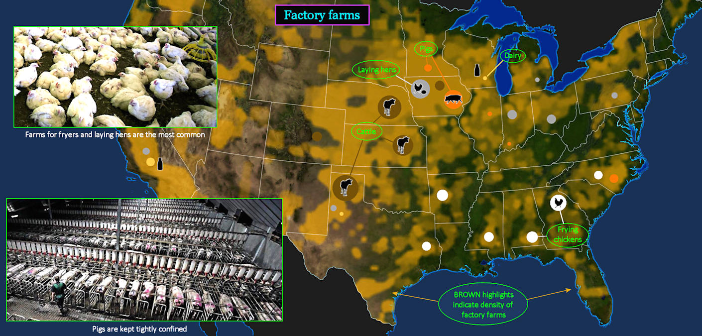 Factory farms, 2010s map